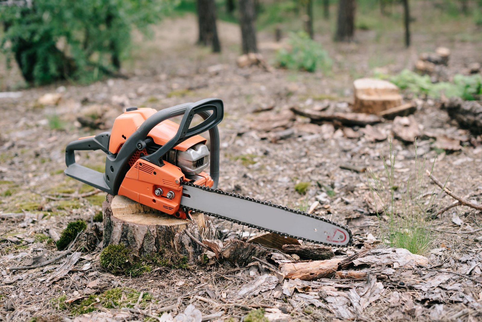 Tree removal and stump grinding