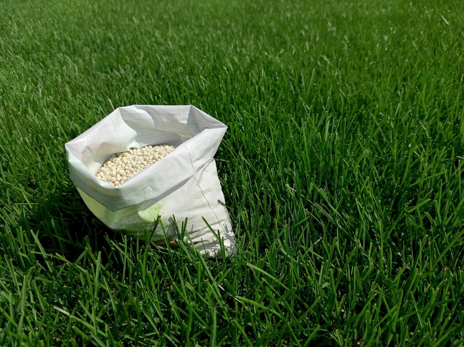 Granular fertilizer on green lawn grass