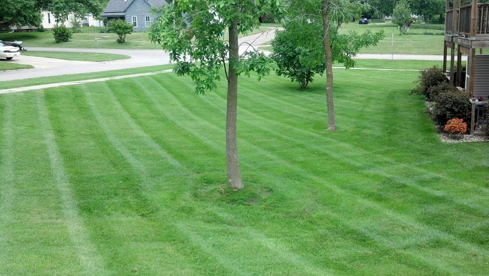 Schwinger Lawn Service -- real job photo of lawn and tree care